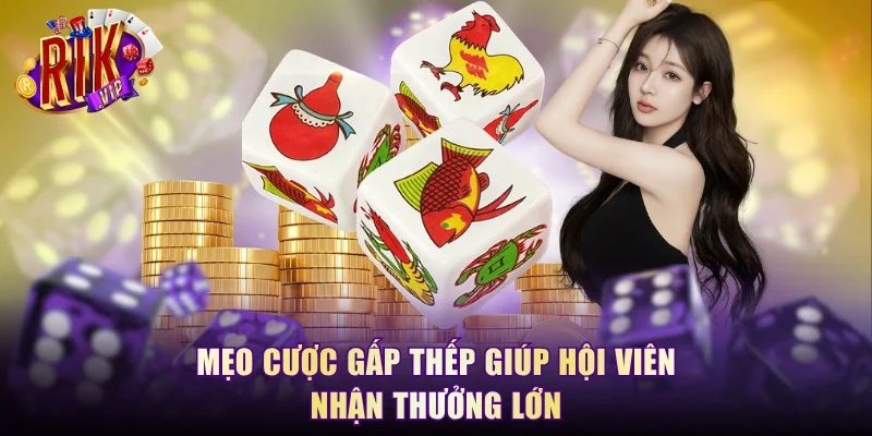 Mẹo cược gấp thếp giúp hội viên nhận thưởng lớn